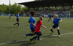 NOTRE CLUB DE NOUVEAU LABELLISÉ !