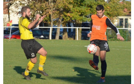 SENIORS : PLANNING DE REPRISE