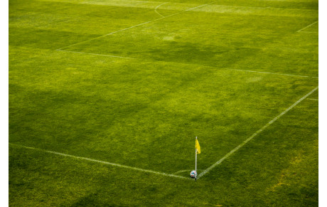 VENTE SAUCISSON &amp; TERRINE