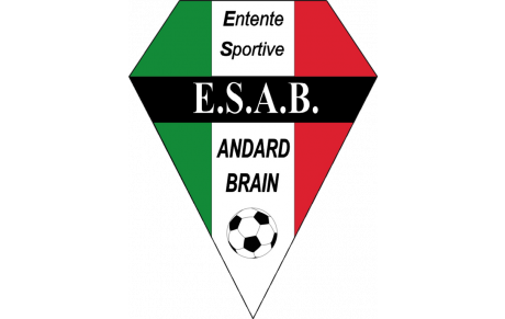 ANDARD BRAIN ES
